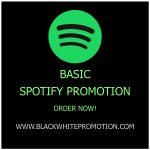 Basic Spotify Promotion