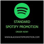 Standard Spotify Promotion