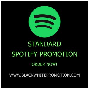Standard Spotify Promotion